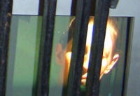 captured